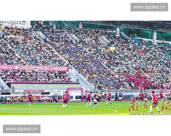 丽水足球联赛蓄势待发 展现地方足球魅力与激情